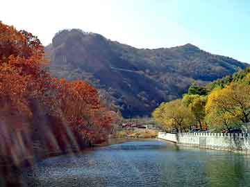 新澳天天开奖资料大全旅游团，木瓜去皮机